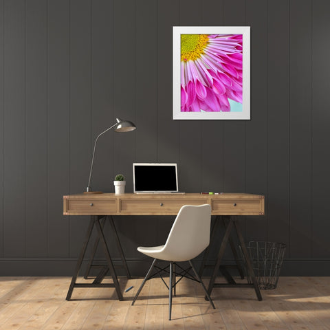 Fuschia Bloom White Modern Wood Framed Art Print by Peck, Gail