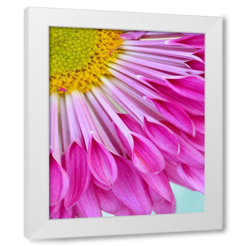 Fuschia Bloom White Modern Wood Framed Art Print by Peck, Gail