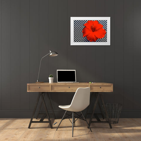 Red Hibiscus White Modern Wood Framed Art Print by Peck, Gail