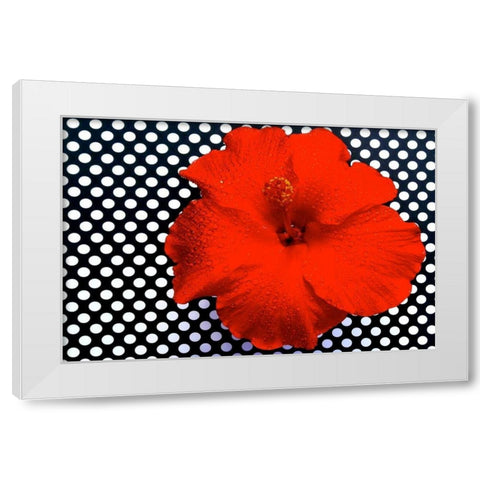 Red Hibiscus White Modern Wood Framed Art Print by Peck, Gail