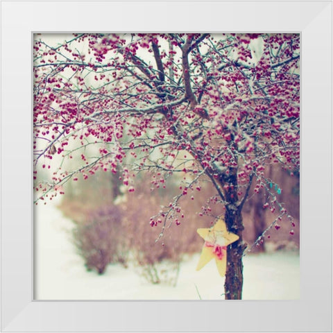 Winter Berries II White Modern Wood Framed Art Print by Poynter, Kelly