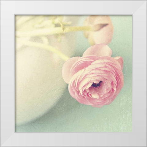 Vintage Pink Peony I White Modern Wood Framed Art Print by Gardner, Sarah