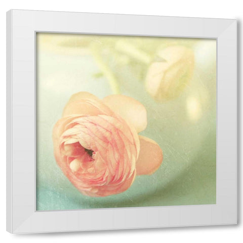 Vintage Peony II White Modern Wood Framed Art Print by Gardner, Sarah