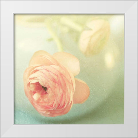 Vintage Peony II White Modern Wood Framed Art Print by Gardner, Sarah