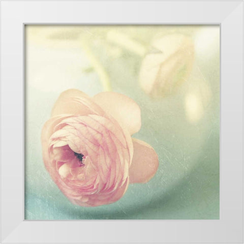 Vintage Pink Peony II White Modern Wood Framed Art Print by Gardner, Sarah