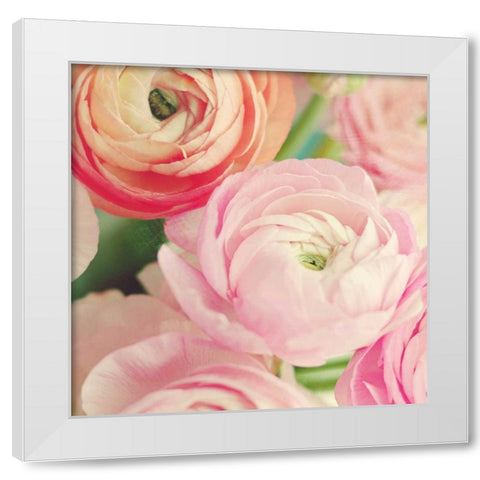 Blushing Blossoms Square II White Modern Wood Framed Art Print by Gardner, Sarah