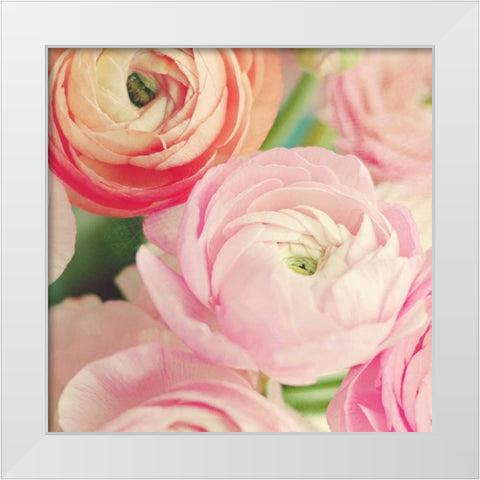 Blushing Blossoms Square II White Modern Wood Framed Art Print by Gardner, Sarah
