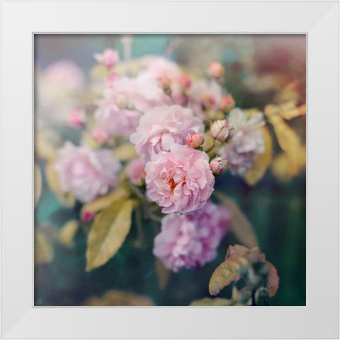 Season of Blossoms White Modern Wood Framed Art Print by Gardner, Sarah