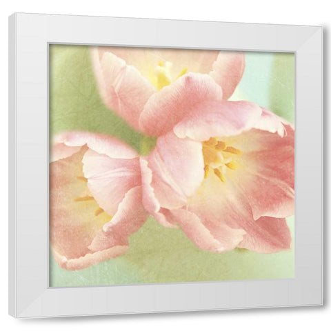 Resplendent Pink Blossoms Square White Modern Wood Framed Art Print by Gardner, Sarah