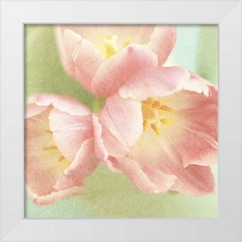 Resplendent Pink Blossoms Square White Modern Wood Framed Art Print by Gardner, Sarah