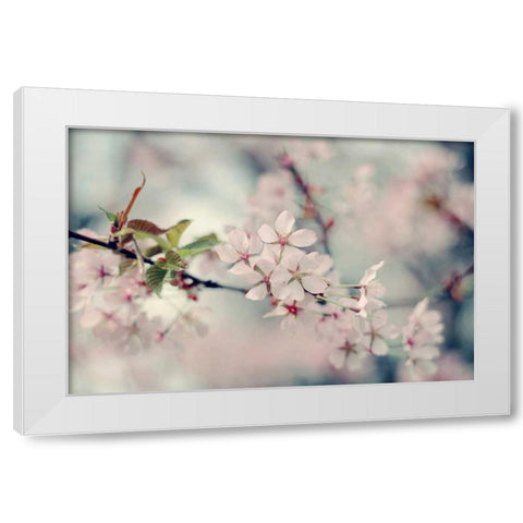 A Branch of Beauty White Modern Wood Framed Art Print by Gardner, Sarah