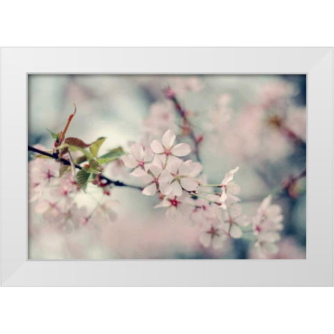 A Branch of Beauty White Modern Wood Framed Art Print by Gardner, Sarah