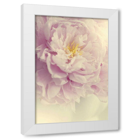 Angelic Petals White Modern Wood Framed Art Print by Gardner, Sarah