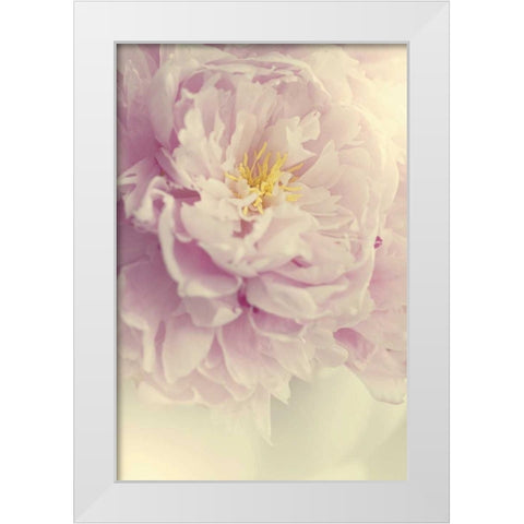 Angelic Petals White Modern Wood Framed Art Print by Gardner, Sarah