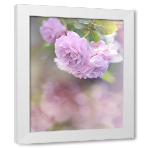 Graceful Floral White Modern Wood Framed Art Print by Gardner, Sarah