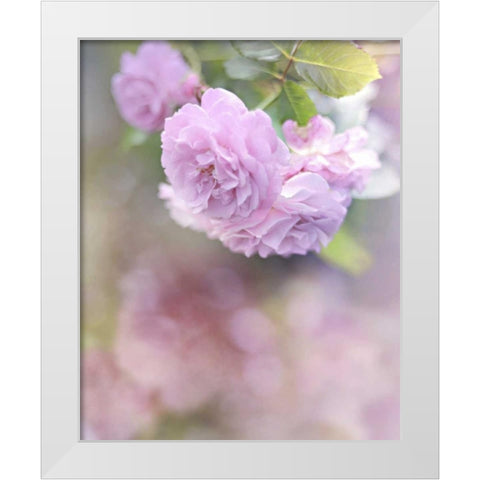 Graceful Floral White Modern Wood Framed Art Print by Gardner, Sarah