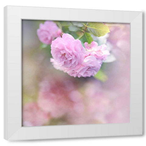 Graceful Floral White Modern Wood Framed Art Print by Gardner, Sarah