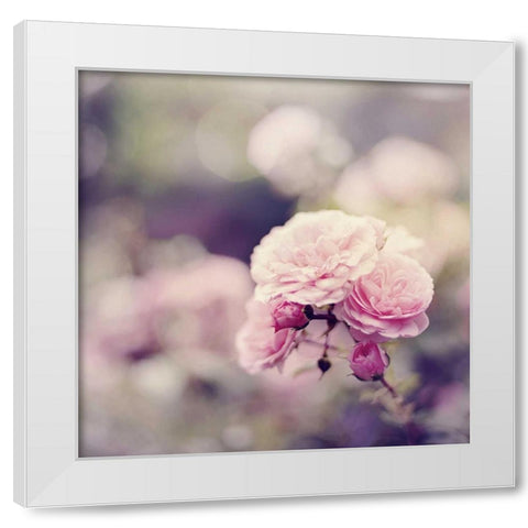 In the Garden White Modern Wood Framed Art Print by Gardner, Sarah