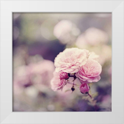 In the Garden White Modern Wood Framed Art Print by Gardner, Sarah