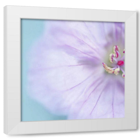 The Heart of a Flower Square White Modern Wood Framed Art Print by Gardner, Sarah