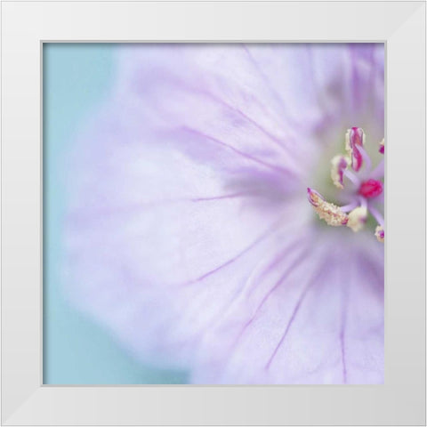 The Heart of a Flower Square White Modern Wood Framed Art Print by Gardner, Sarah