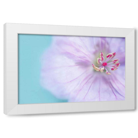 The Heart of a Flower White Modern Wood Framed Art Print by Gardner, Sarah