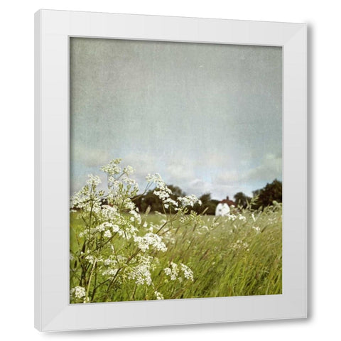 In the Pasture White Modern Wood Framed Art Print by Gardner, Sarah