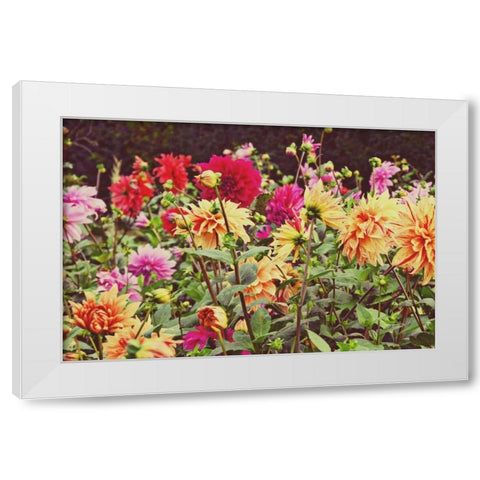 New Garden White Modern Wood Framed Art Print by Peck, Gail