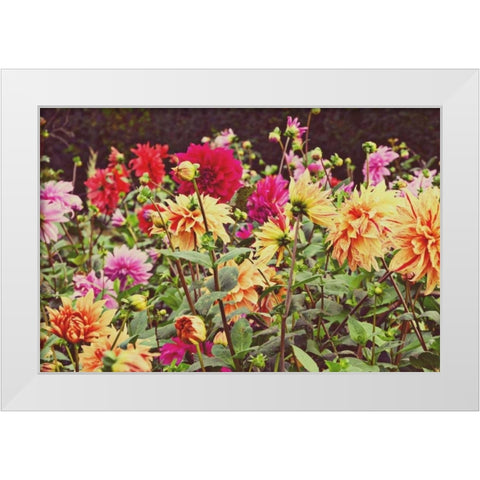 New Garden White Modern Wood Framed Art Print by Peck, Gail