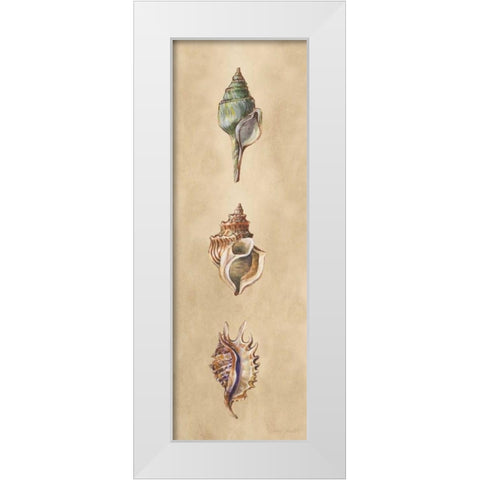 Seashells Panel I White Modern Wood Framed Art Print by Loreth, Lanie