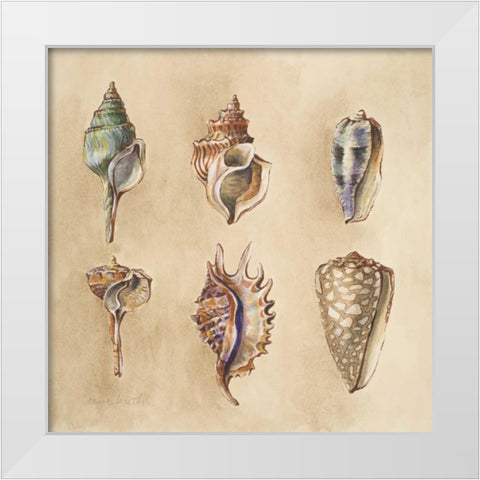 Seashells I White Modern Wood Framed Art Print by Loreth, Lanie