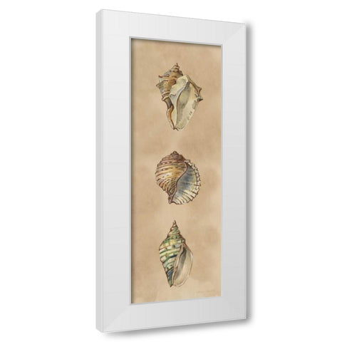 Seashells Panel II White Modern Wood Framed Art Print by Loreth, Lanie
