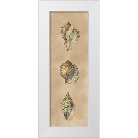 Seashells Panel II White Modern Wood Framed Art Print by Loreth, Lanie