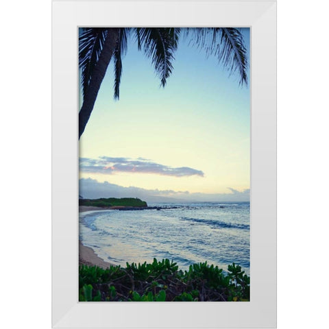 Under the Palm White Modern Wood Framed Art Print by Nawrocke, Bruce