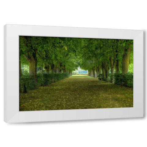 French Gardens White Modern Wood Framed Art Print by Lake, Shelley
