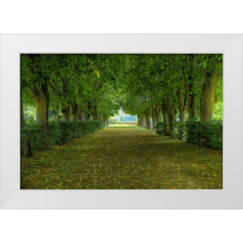 French Gardens White Modern Wood Framed Art Print by Lake, Shelley