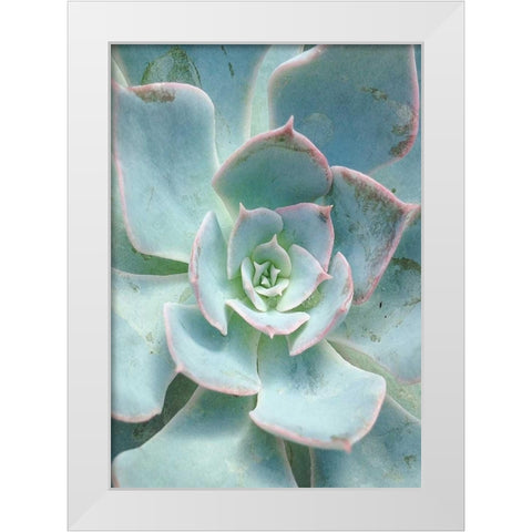 Teal Succulent Vertical White Modern Wood Framed Art Print by Bryant, Susan