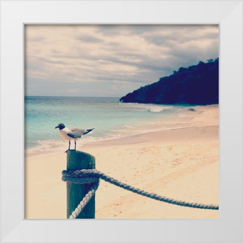 Island Vacation III White Modern Wood Framed Art Print by Bryant, Susan