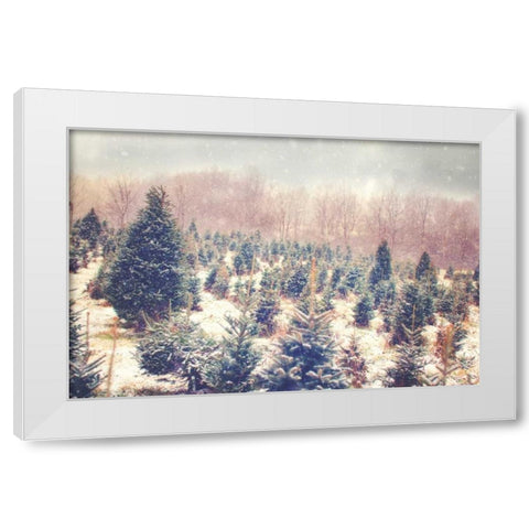 Natures Beauty White Modern Wood Framed Art Print by Poynter, Kelly