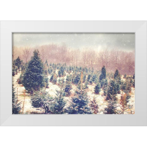 Natures Beauty White Modern Wood Framed Art Print by Poynter, Kelly