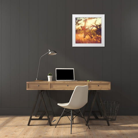 Morning Star White Modern Wood Framed Art Print by Poynter, Kelly