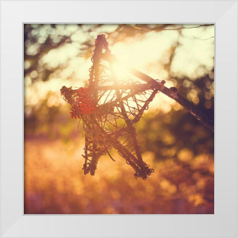 Morning Star White Modern Wood Framed Art Print by Poynter, Kelly