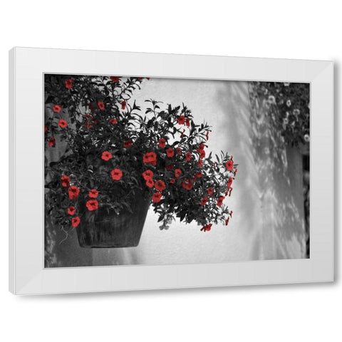 Garden Areas Border I White Modern Wood Framed Art Print by Peck, Gail