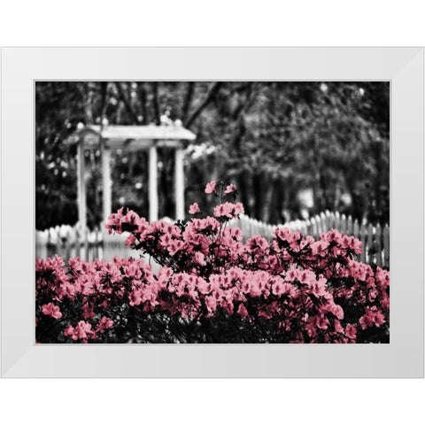 Garden Areas Border II White Modern Wood Framed Art Print by Peck, Gail
