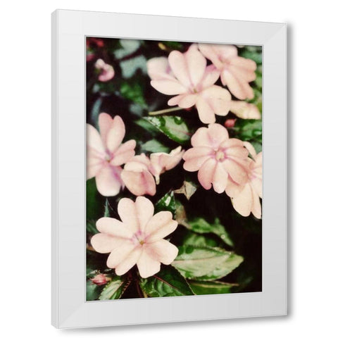 Filter Flowers II White Modern Wood Framed Art Print by Peck, Gail