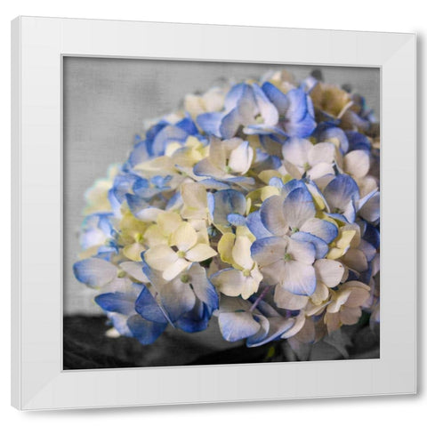 Hydrangeas I White Modern Wood Framed Art Print by Bryant, Susan