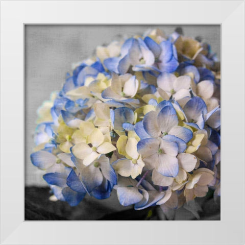 Hydrangeas I White Modern Wood Framed Art Print by Bryant, Susan