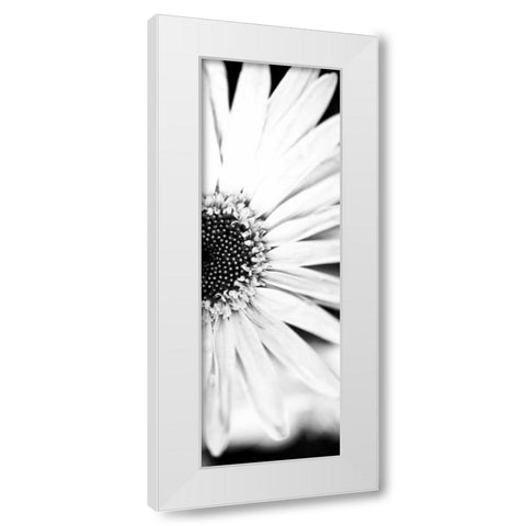 White Bloom I White Modern Wood Framed Art Print by Bryant, Susan