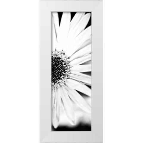White Bloom I White Modern Wood Framed Art Print by Bryant, Susan