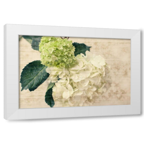 Hydrangeas I White Modern Wood Framed Art Print by Bryant, Susan